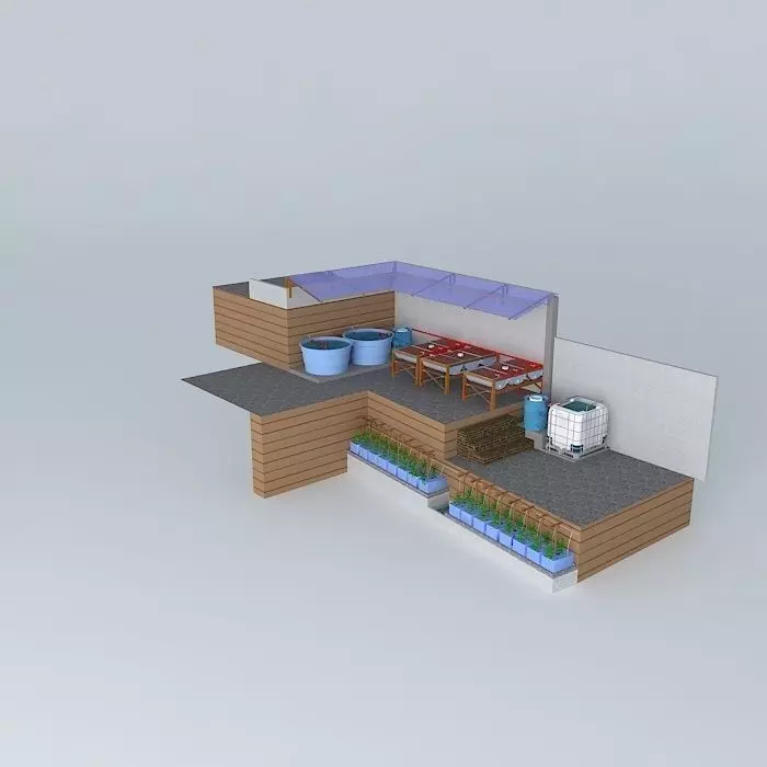 Aquaponics system Aquapônico 15- Beira Mar-2 tanks 1000L IBC ... 3D model_0