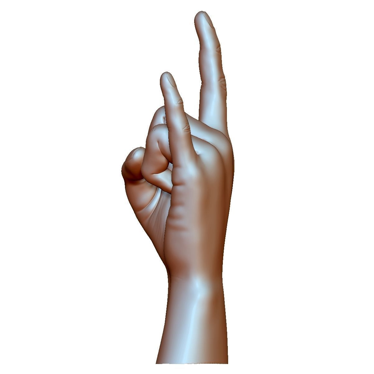 Hard rock hand gesture male 3D print model_4