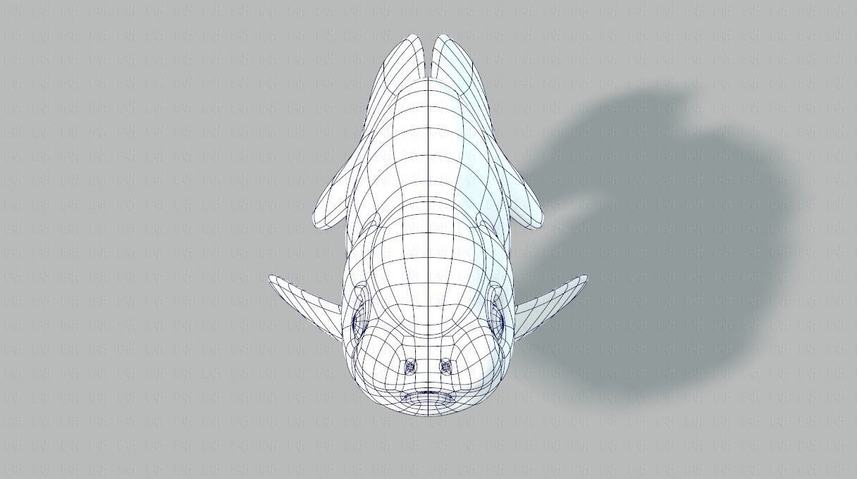 Fish V03 Low-poly 3D model_25