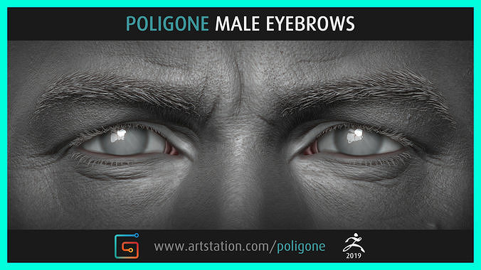 Poligone Male Eyebrows 3D model