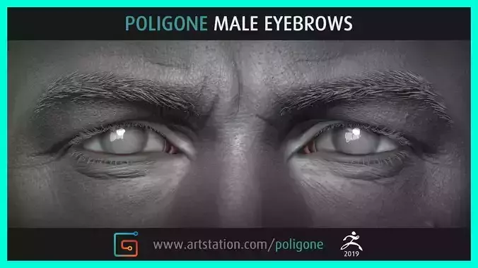 Poligone Male Eyebrows