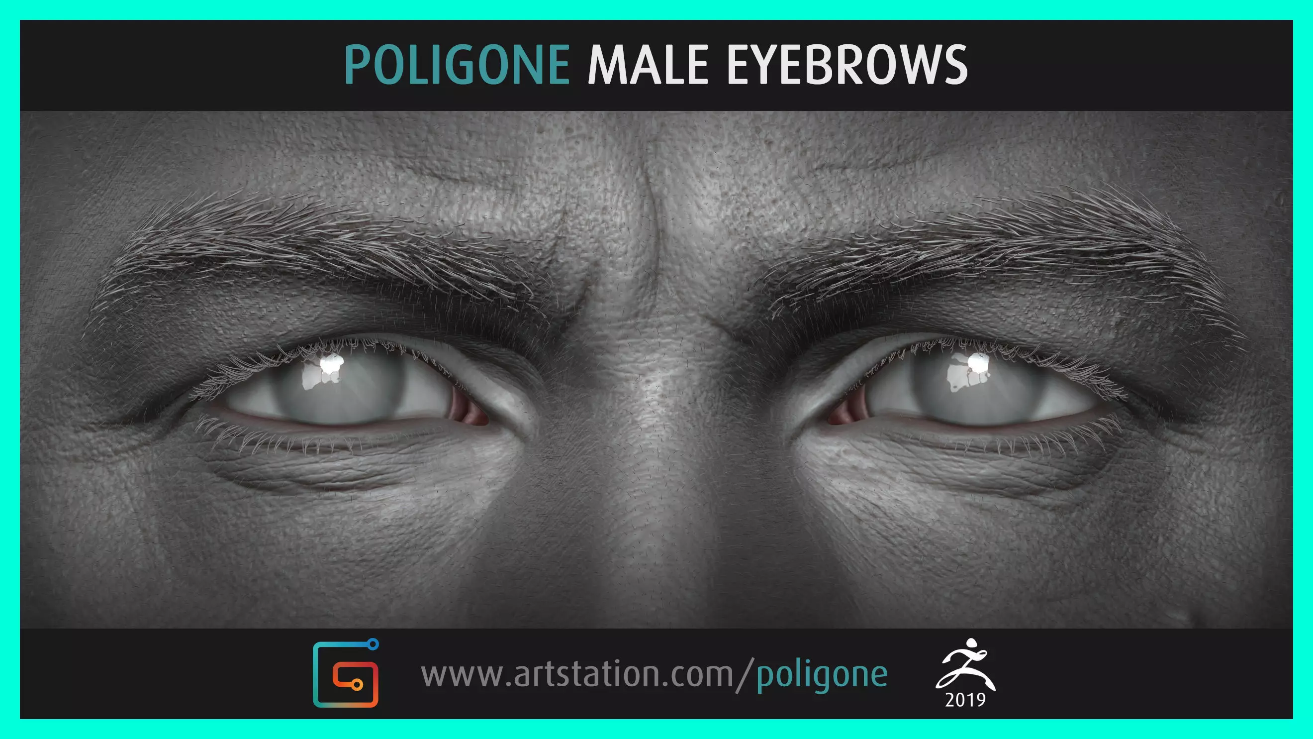 Poligone Male Eyebrows 3D model_0