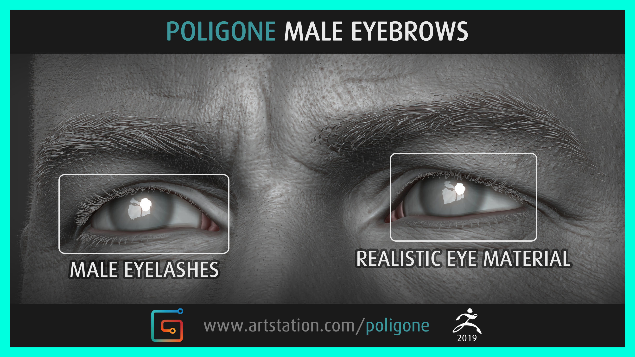 Poligone Male Eyebrows 3D model_3