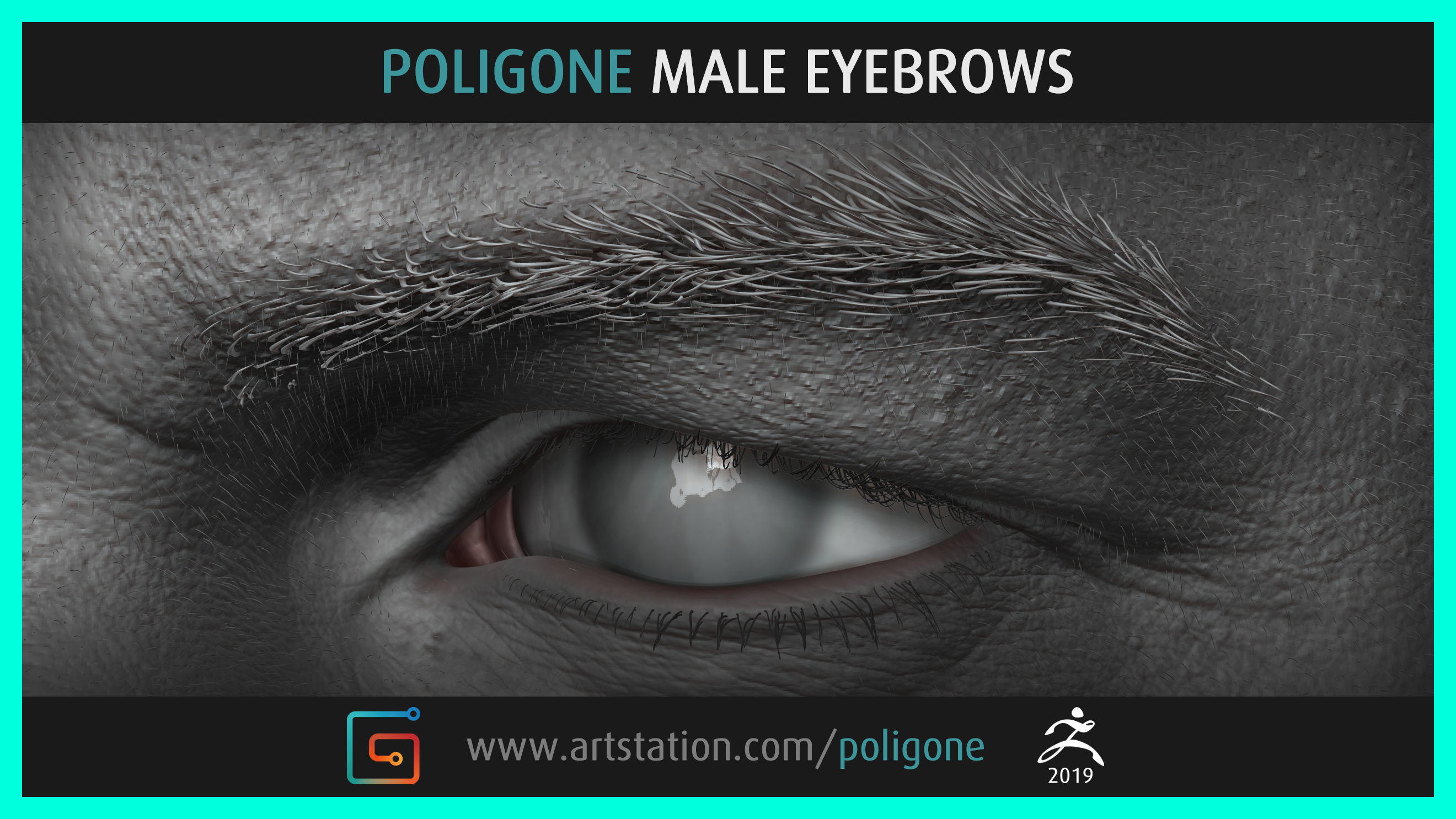 Poligone Male Eyebrows 3D model_2