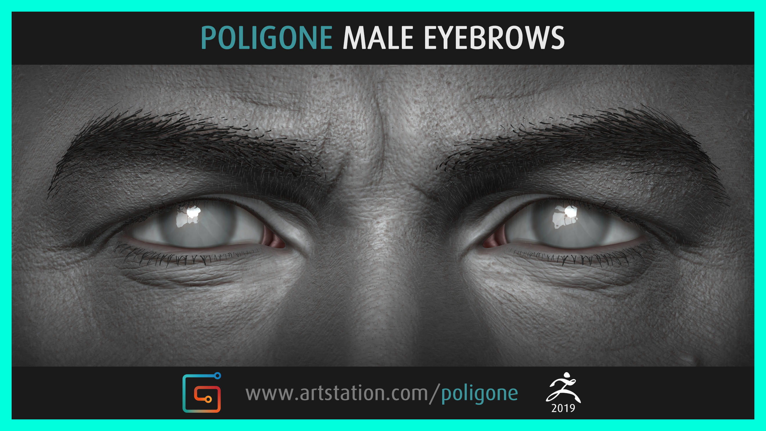 Poligone Male Eyebrows 3D model_1