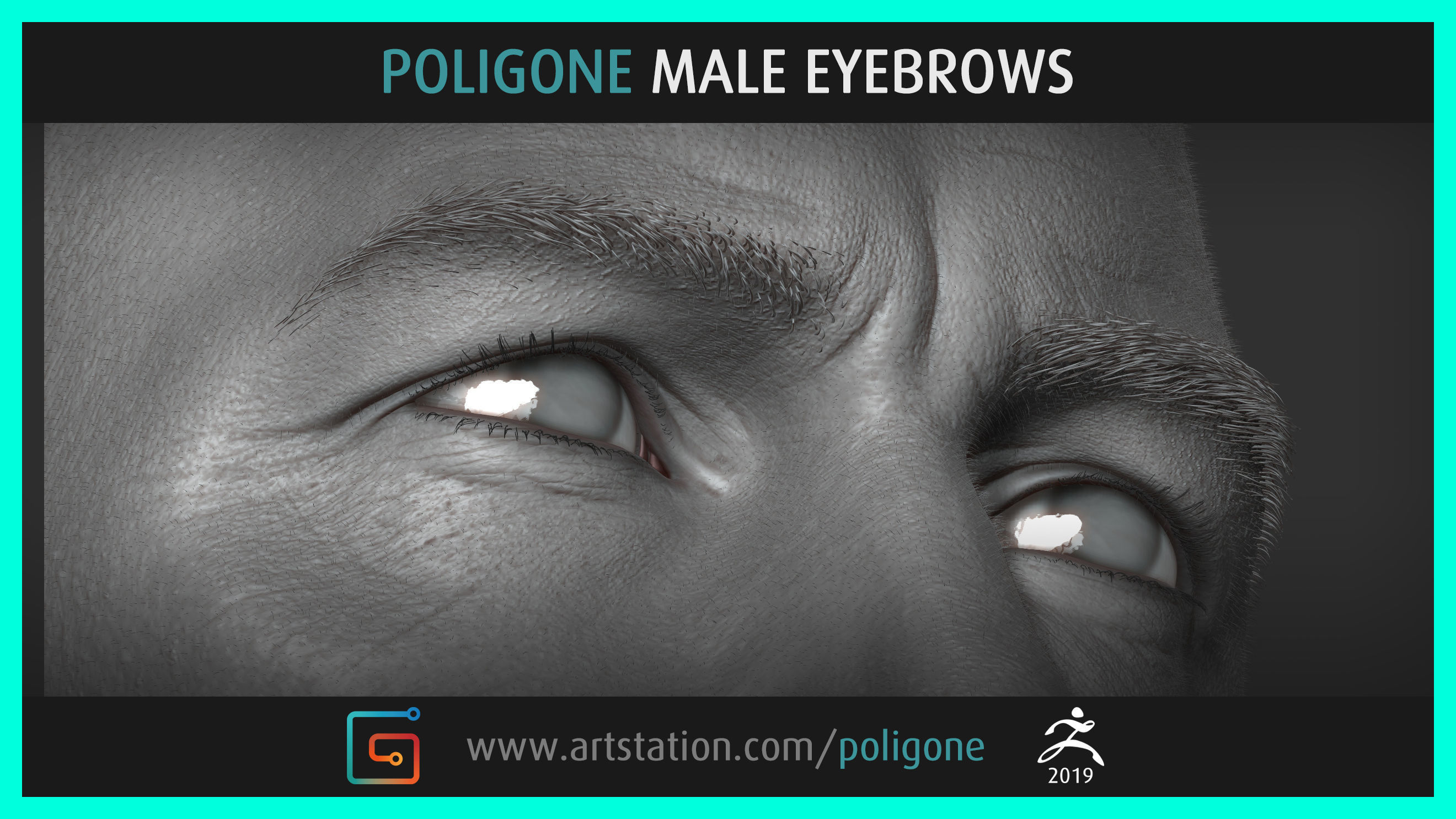 Poligone Male Eyebrows 3D model_5