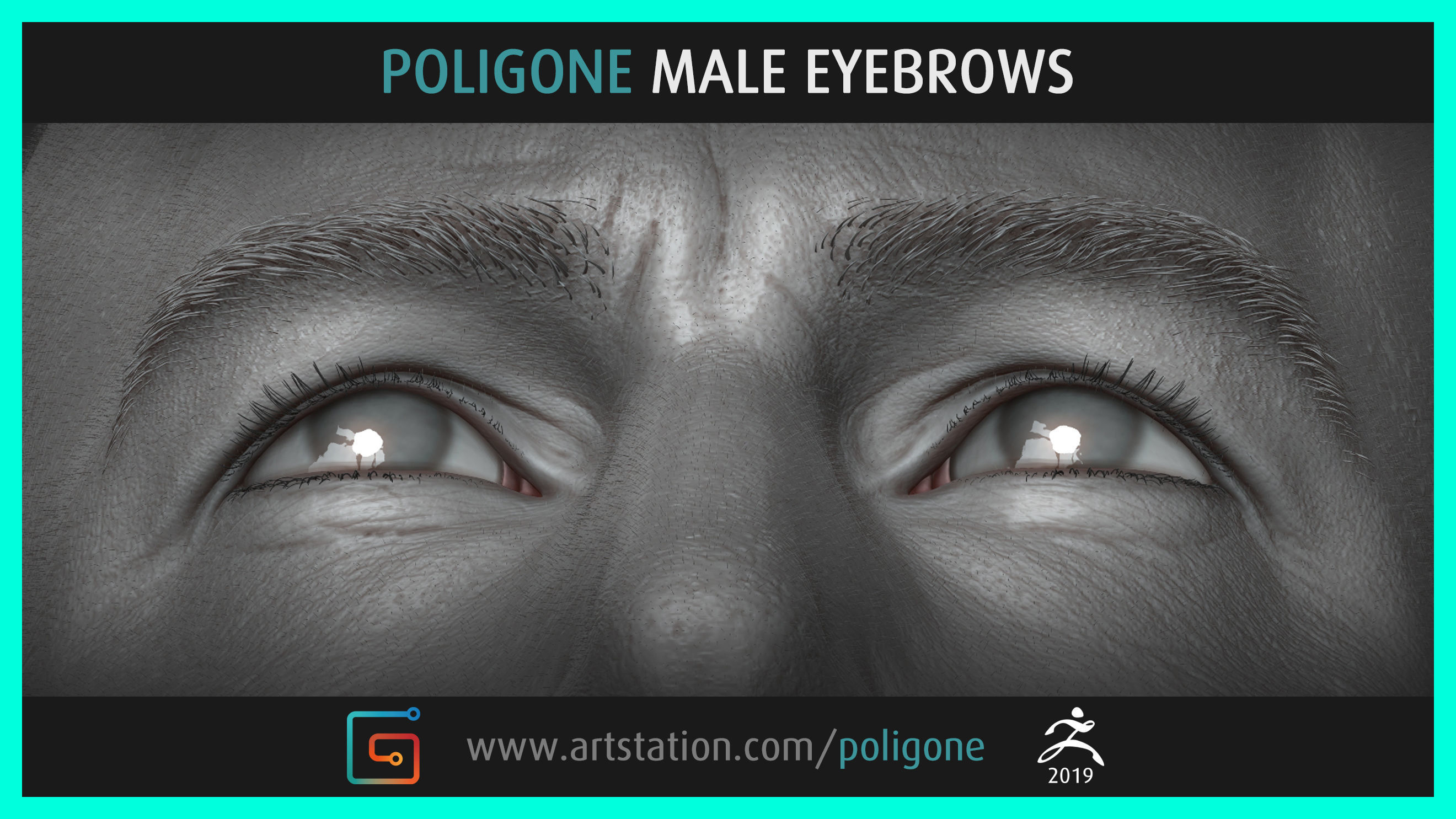 Poligone Male Eyebrows 3D model_7
