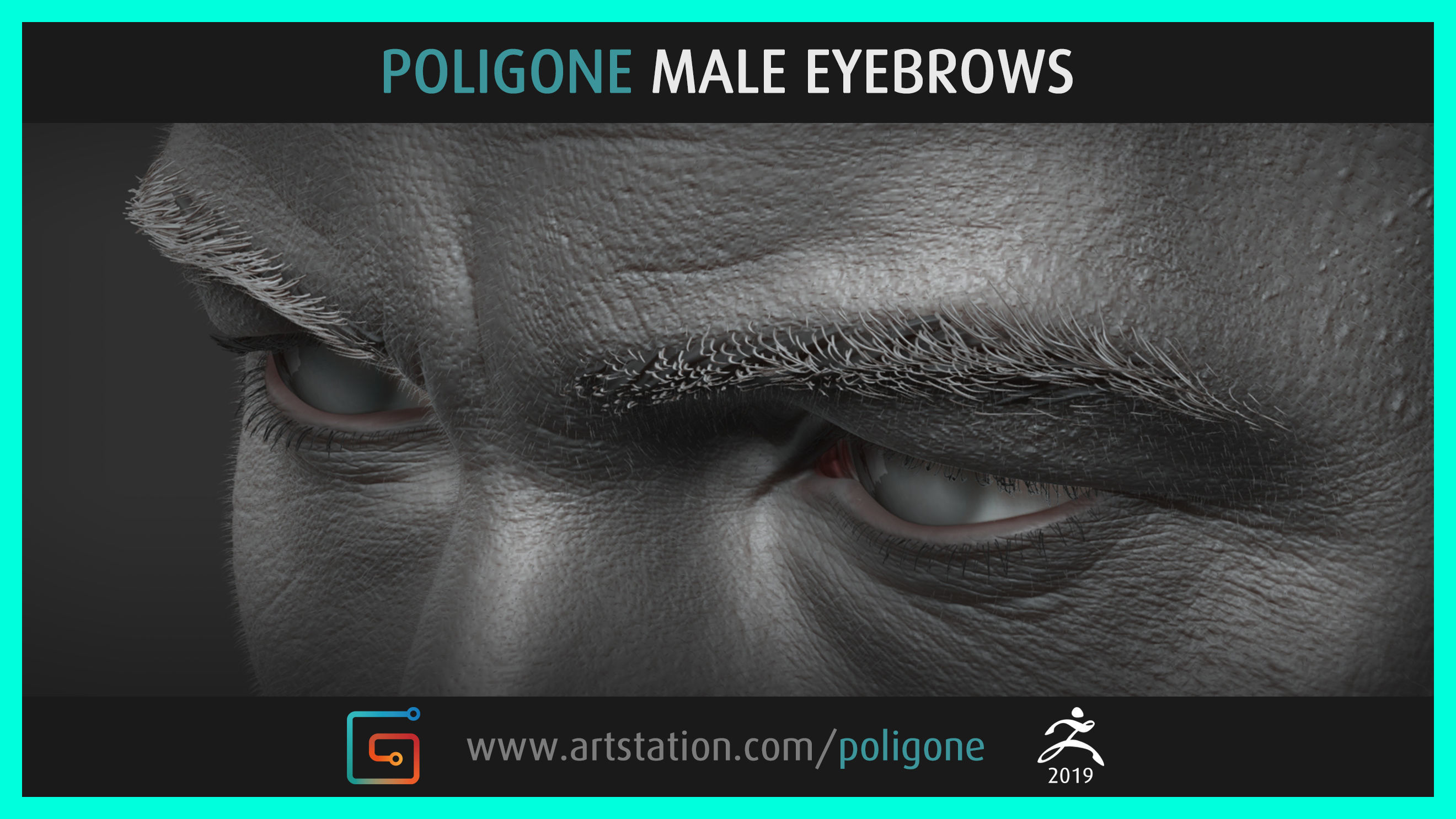 Poligone Male Eyebrows 3D model_4