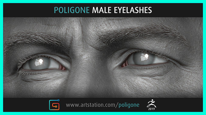 Poligone Male Eyelashes 3D model