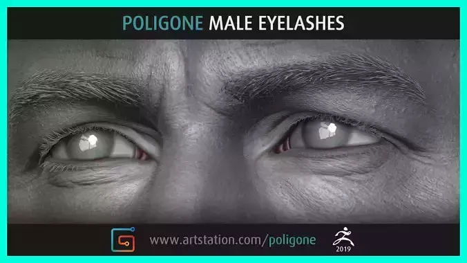 Poligone Male Eyelashes 3D model