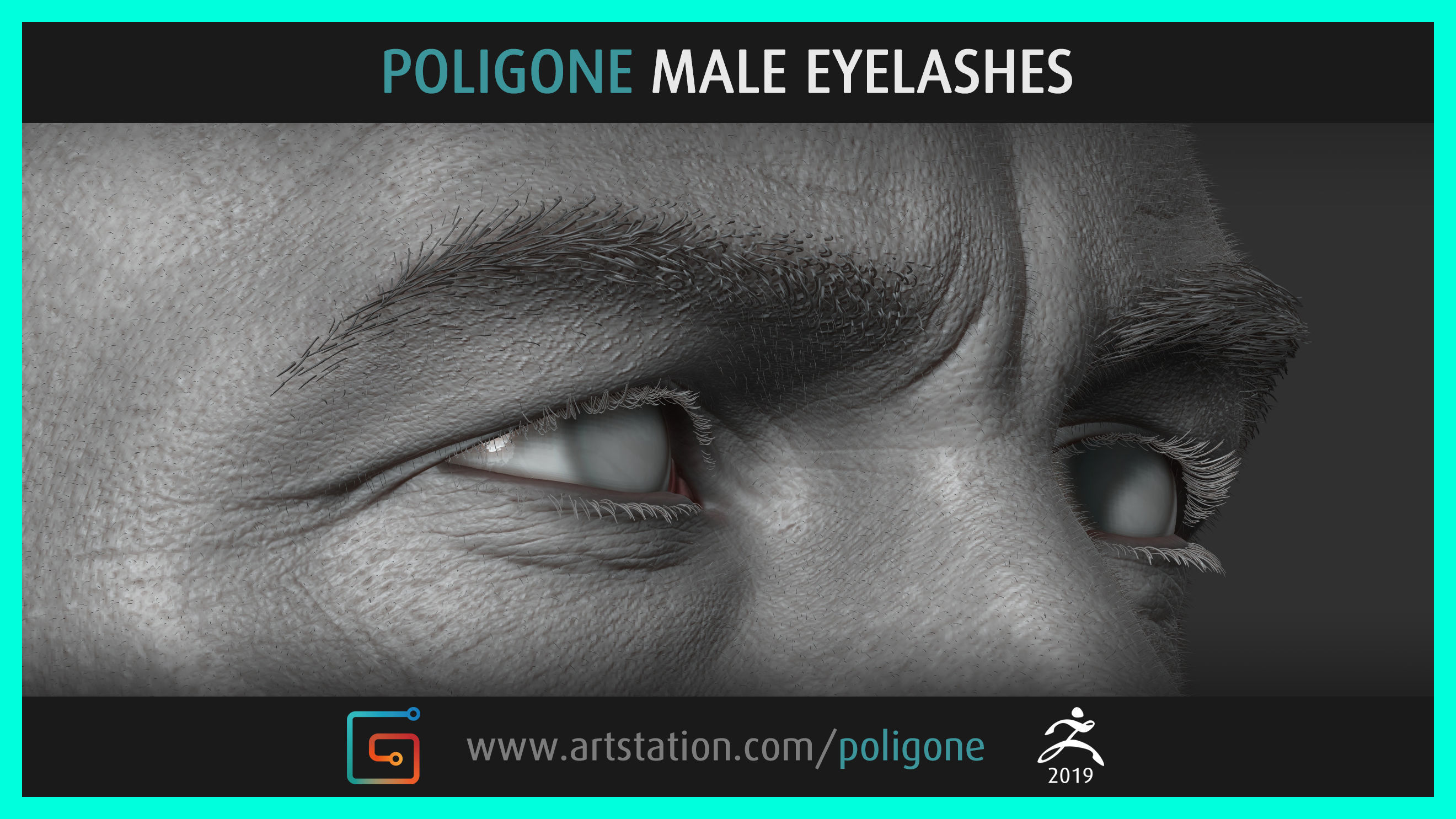 Poligone Male Eyelashes 3D model_1