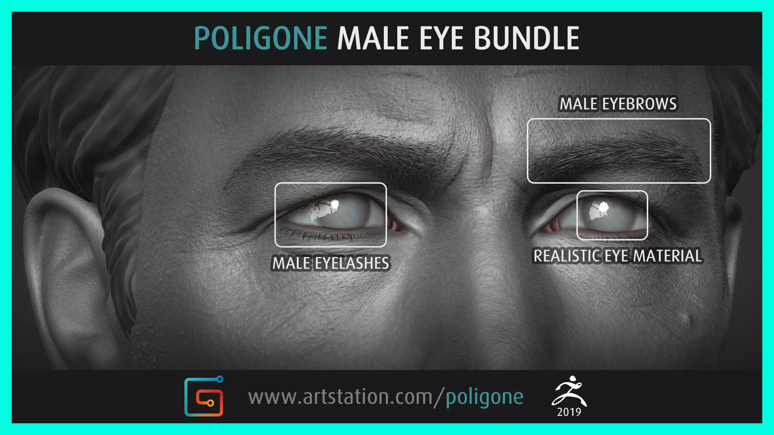 Poligone Male Eye Bundle 3D model