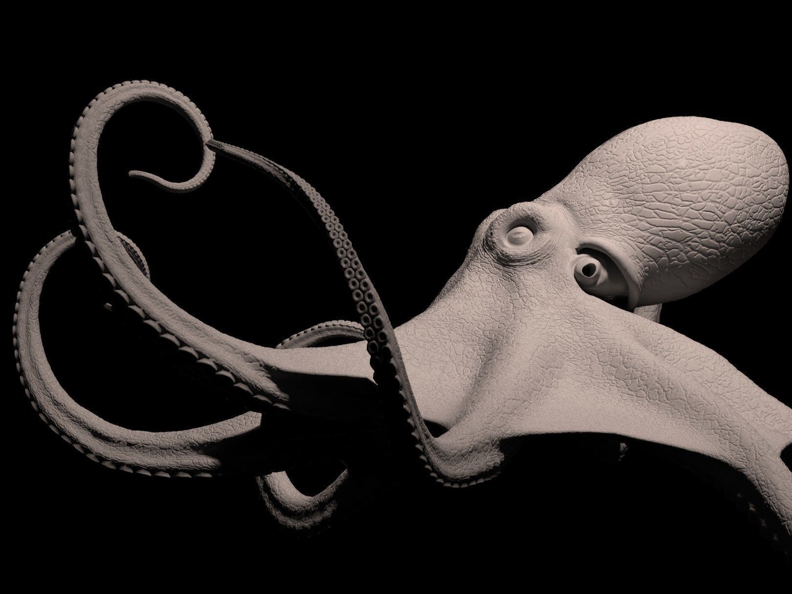 Octopus Caribbean Reef 3D model_7