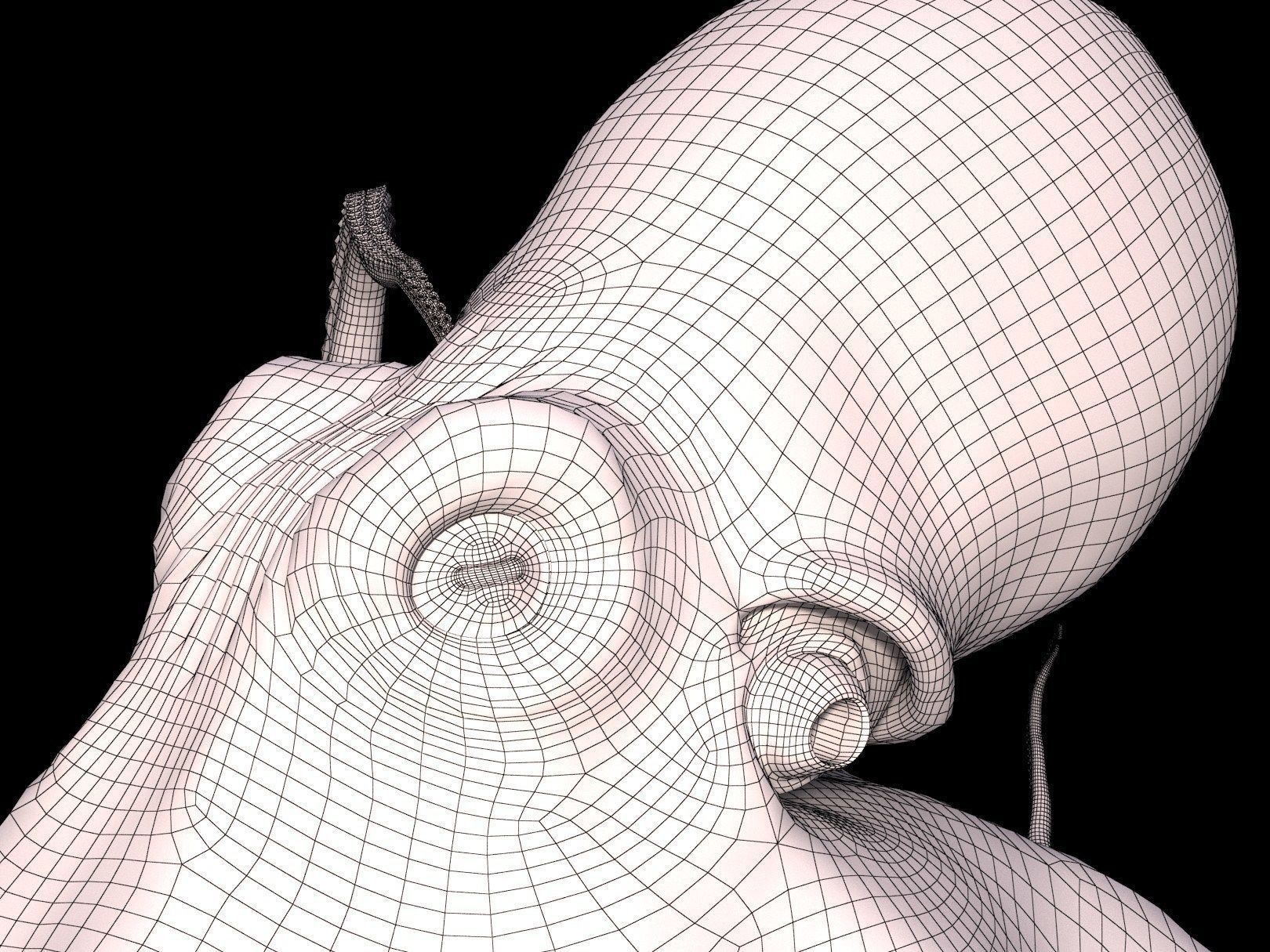 Octopus Caribbean Reef 3D model_10