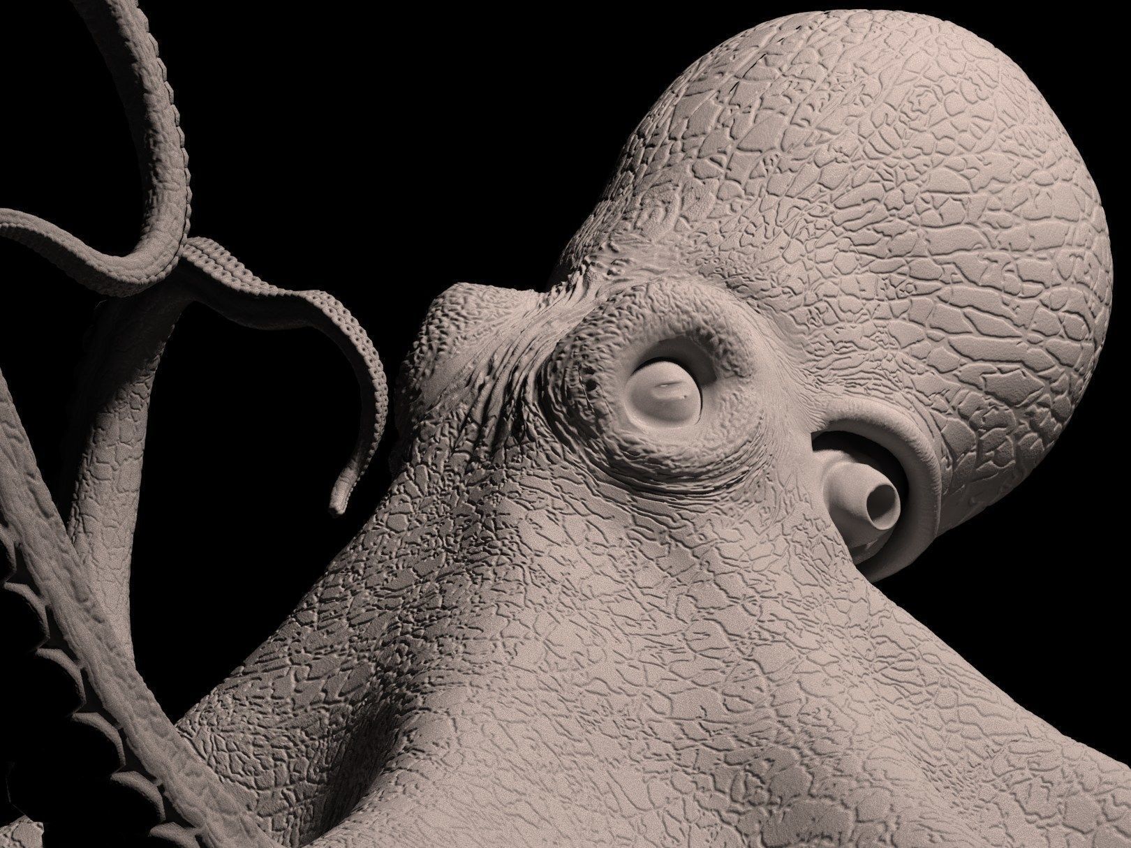 Octopus Caribbean Reef 3D model_3