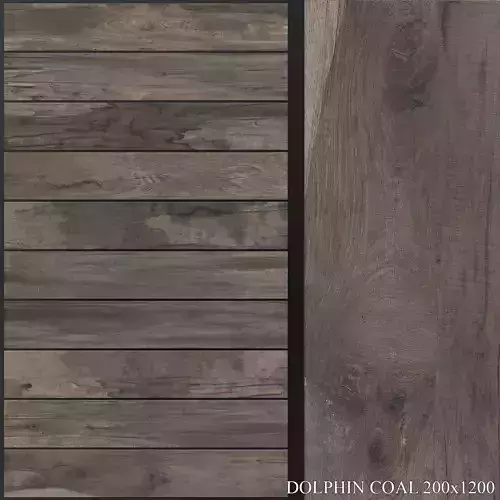 ABK Dolphin Coal 200x1200