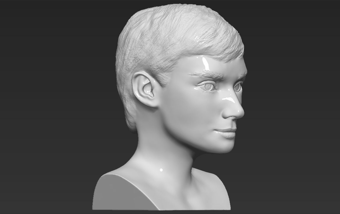 Audrey Hepburn bust 3D printing ready stl obj formats 3D print model_8