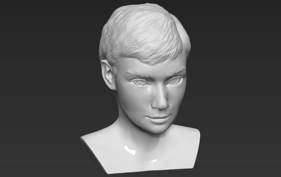Audrey Hepburn bust 3D printing ready stl obj formats 3D print model_11