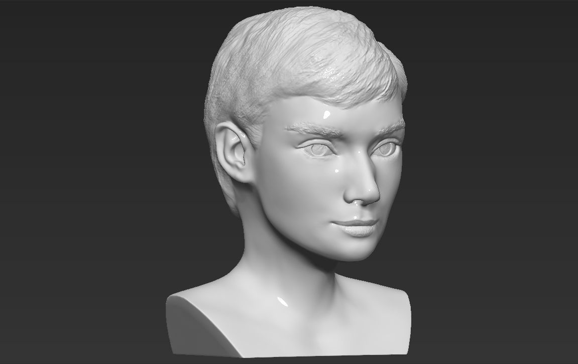 Audrey Hepburn bust 3D printing ready stl obj formats 3D print model_9