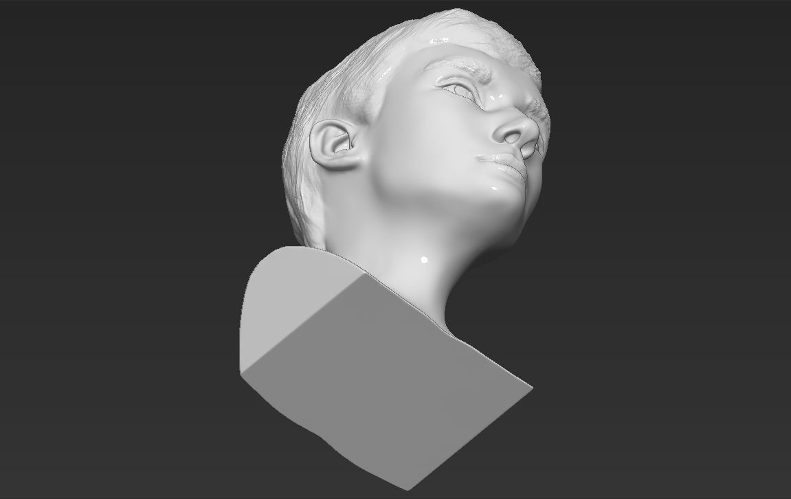 Audrey Hepburn bust 3D printing ready stl obj formats 3D print model_20