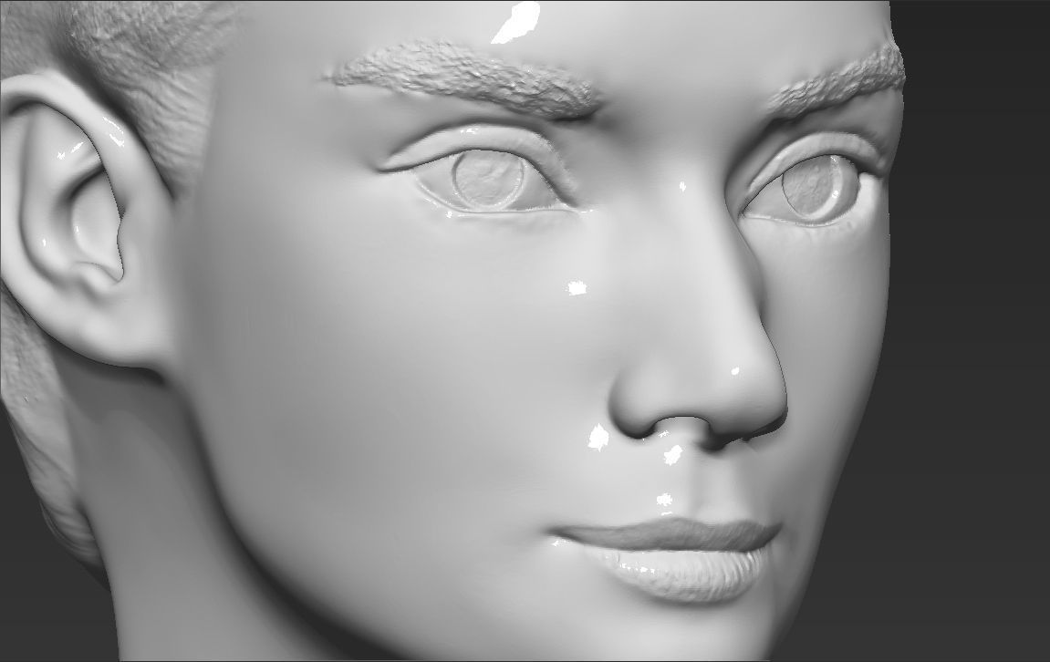Audrey Hepburn bust 3D printing ready stl obj formats 3D print model_16