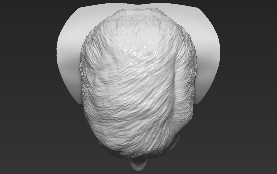 Audrey Hepburn black and white bust for full color 3D printing 3D print model_39