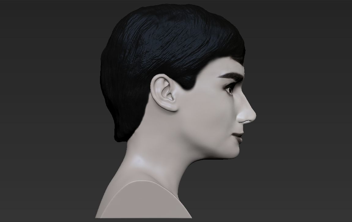 Audrey Hepburn black and white bust for full color 3D printing 3D print model_19
