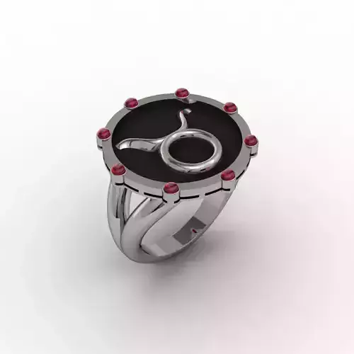 Taurus ring 001 3D print model