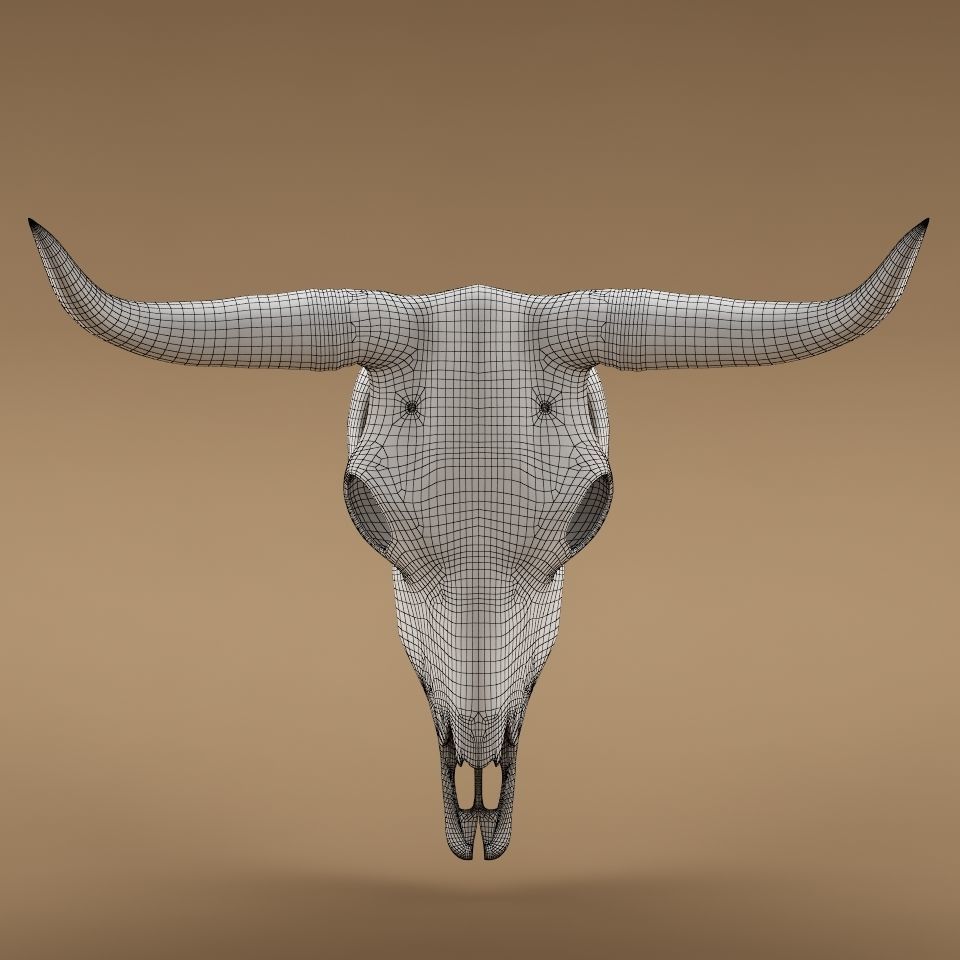 Cow skull 3D model_5