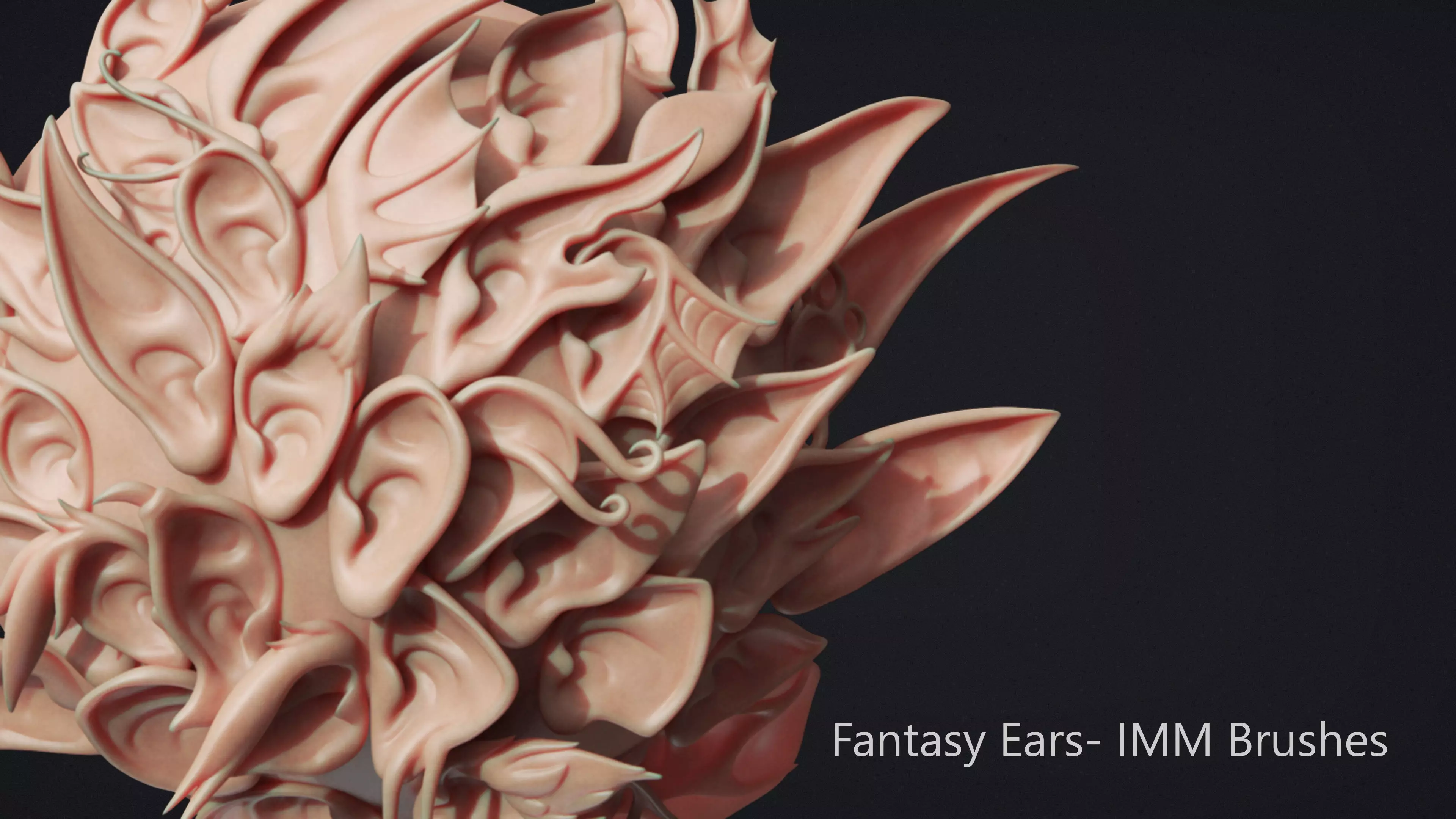 Zbrush - 40 Fantasy Ears - IMM Brush 3D model_0