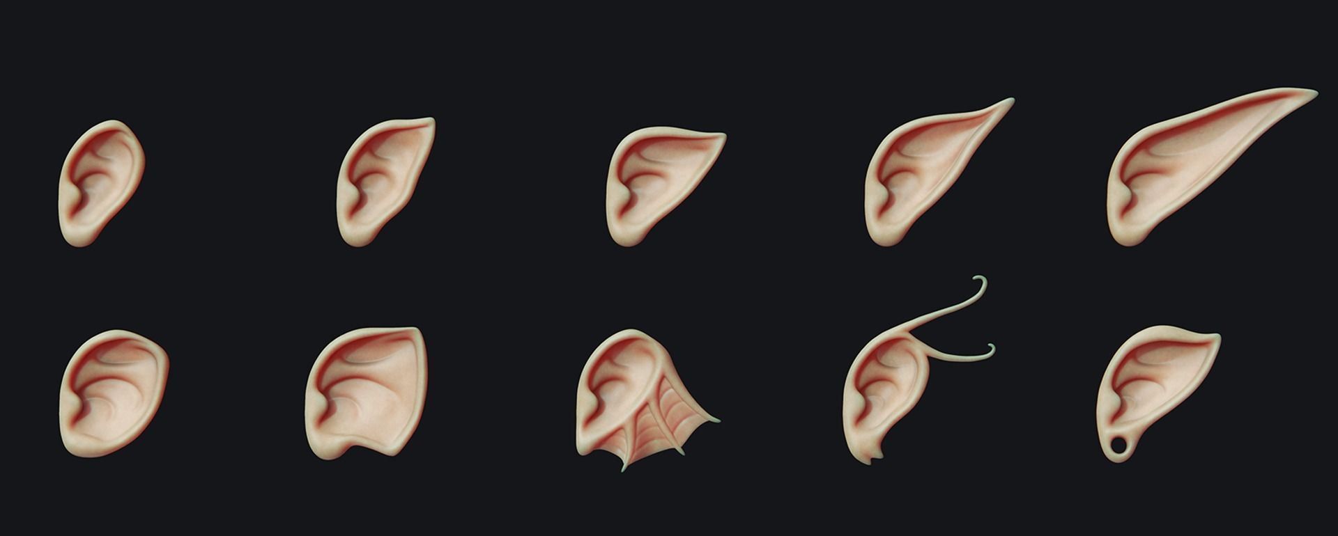 Zbrush - 40 Fantasy Ears - IMM Brush 3D model_3