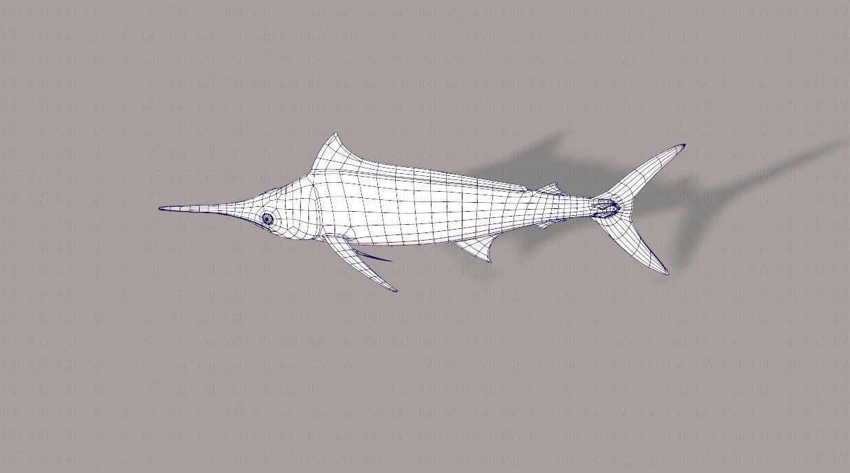 Fish V04 Low-poly 3D model_31