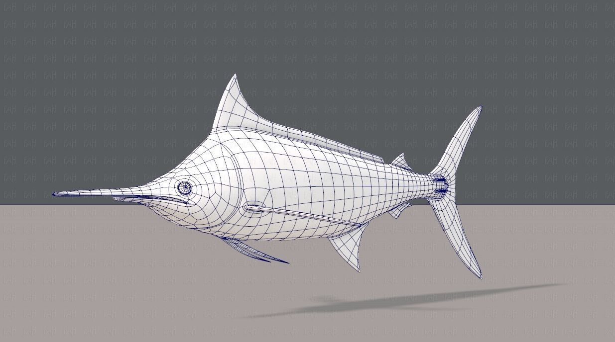 Fish V04 Low-poly 3D model_16