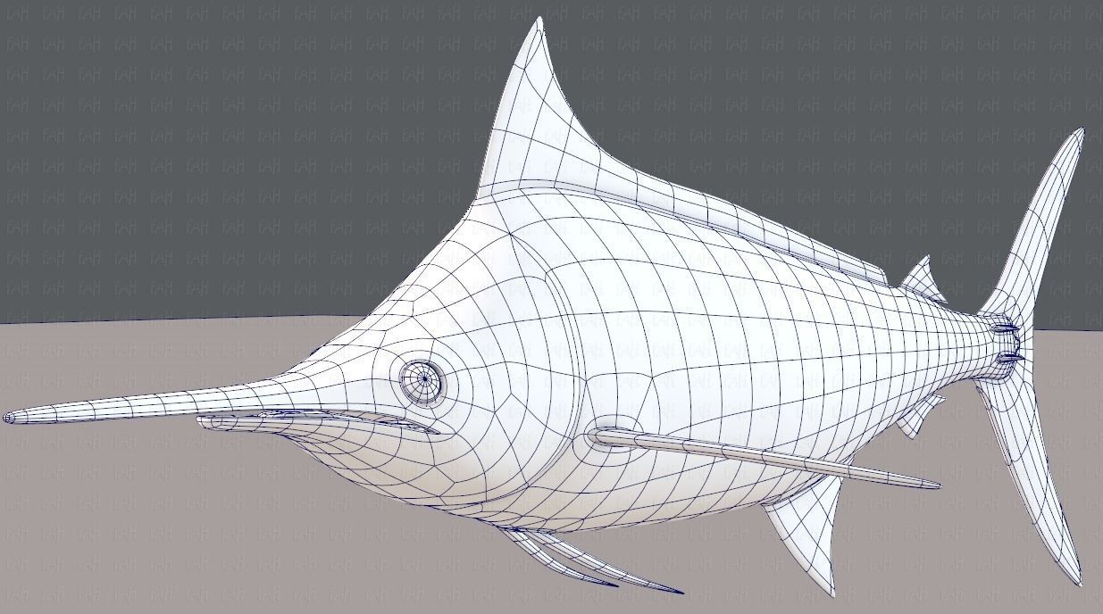 Fish V04 Low-poly 3D model_34