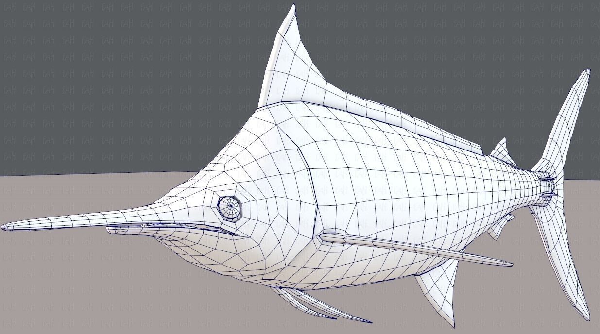Fish V04 Low-poly 3D model_36