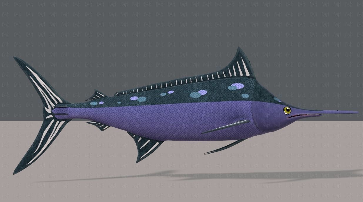 Fish V04 Low-poly 3D model_3