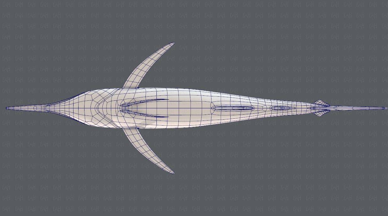 Fish V04 Low-poly 3D model_42