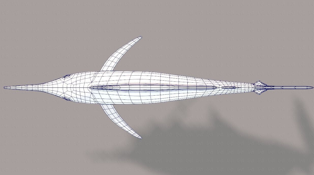 Fish V04 Low-poly 3D model_40