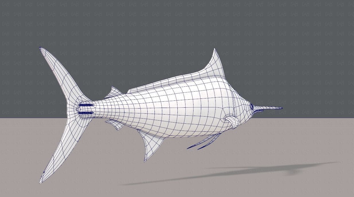 Fish V04 Low-poly 3D model_12