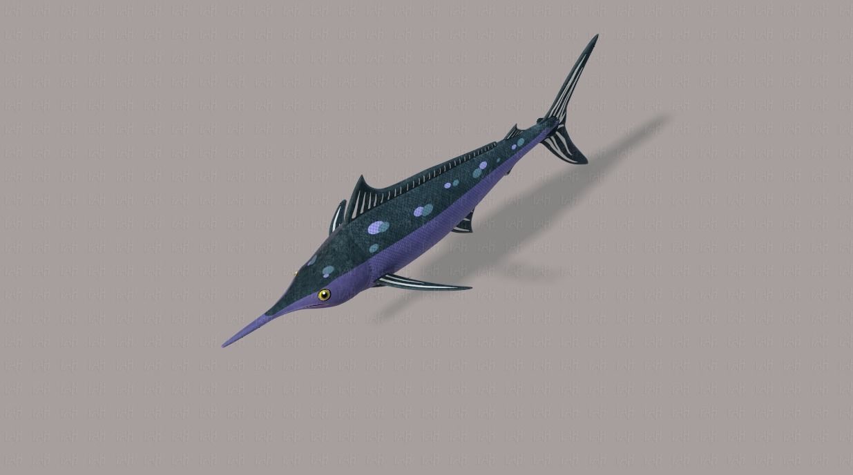 Fish V04 Low-poly 3D model_24