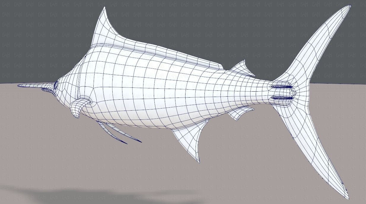 Fish V04 Low-poly 3D model_44
