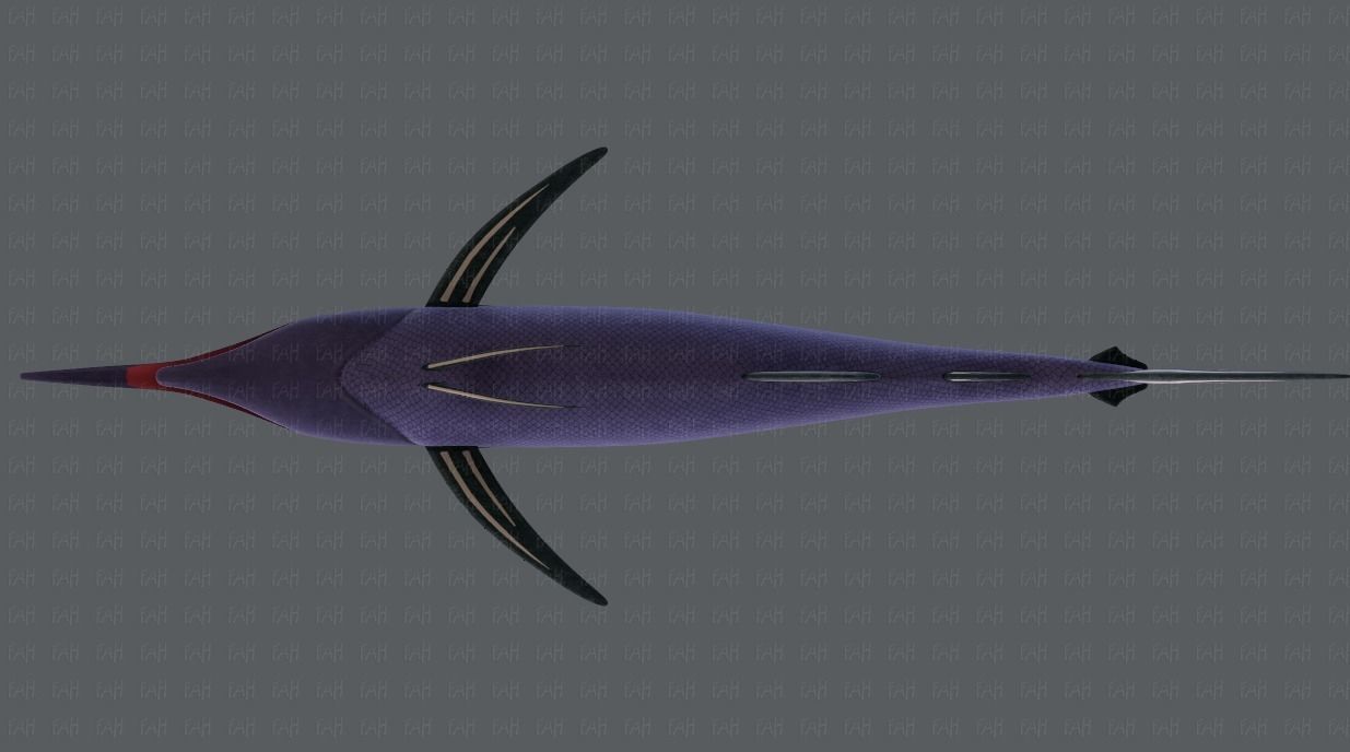 Fish V04 Low-poly 3D model_41