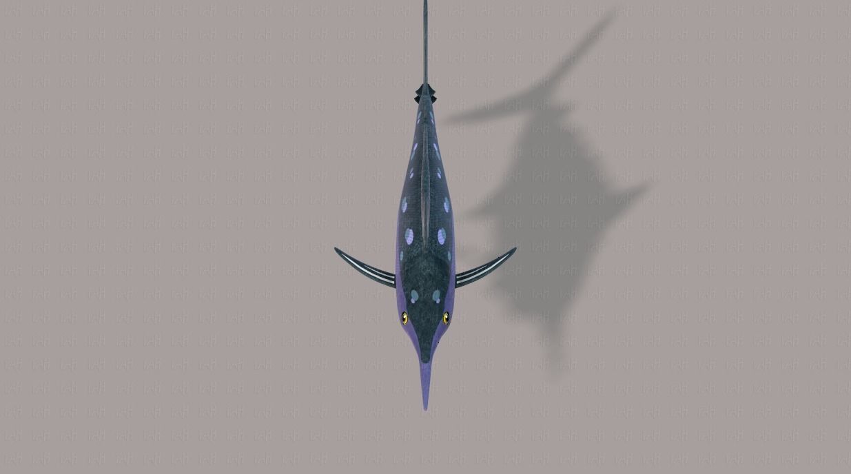 Fish V04 Low-poly 3D model_17