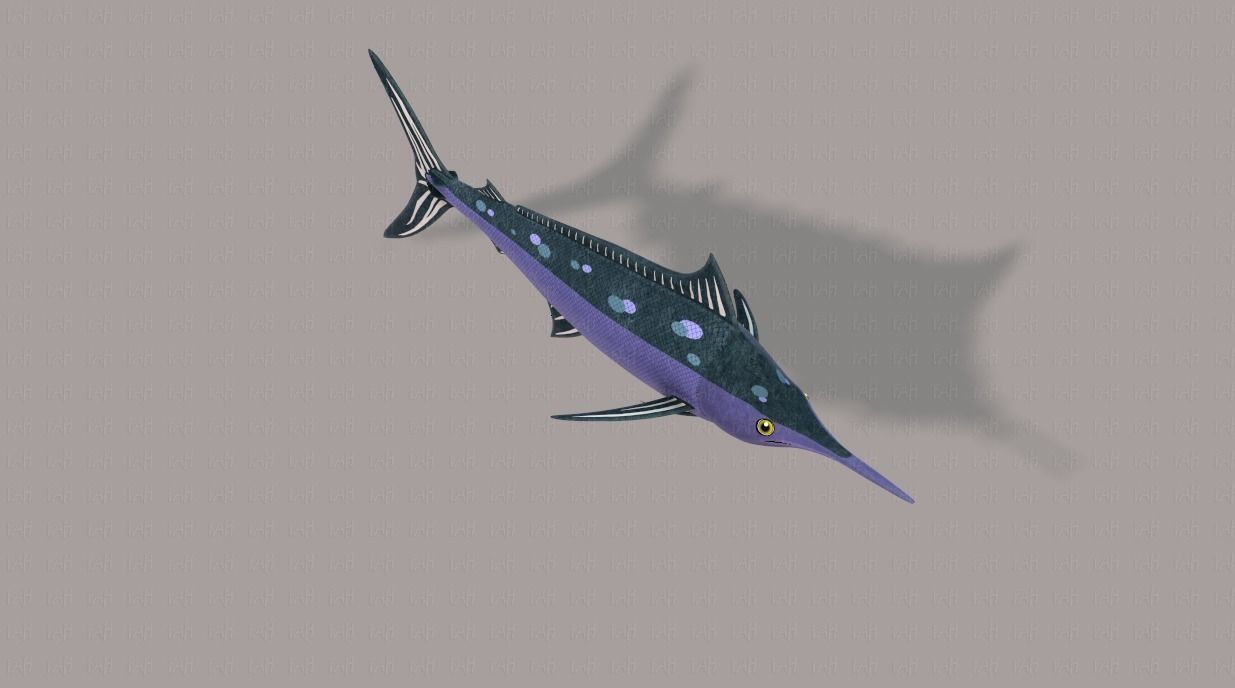 Fish V04 Low-poly 3D model_18