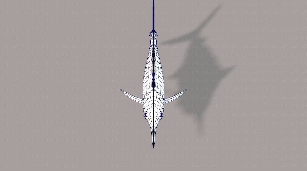 Fish V04 Low-poly 3D model_25