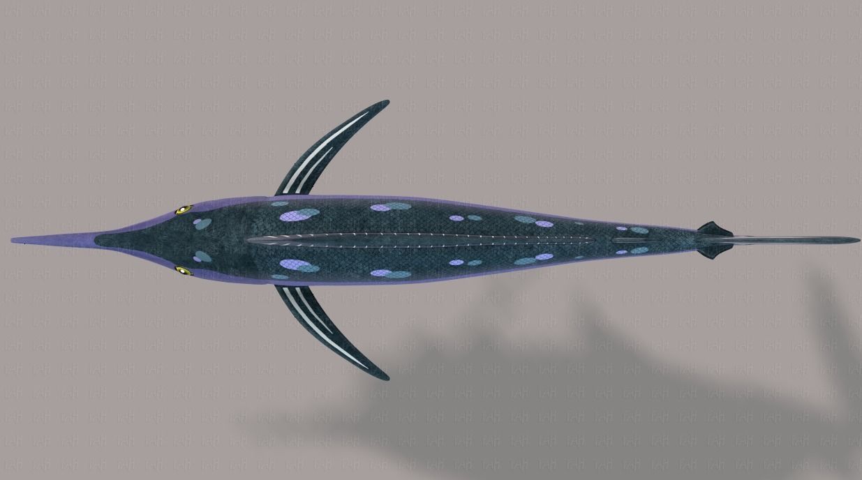 Fish V04 Low-poly 3D model_39