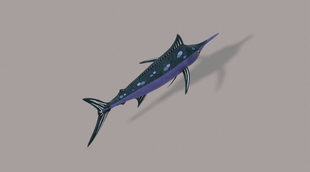 Fish V04 Low-poly 3D model_20