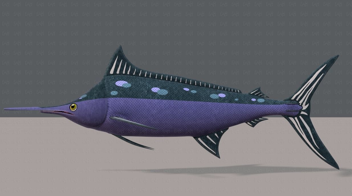 Fish V04 Low-poly 3D model_6