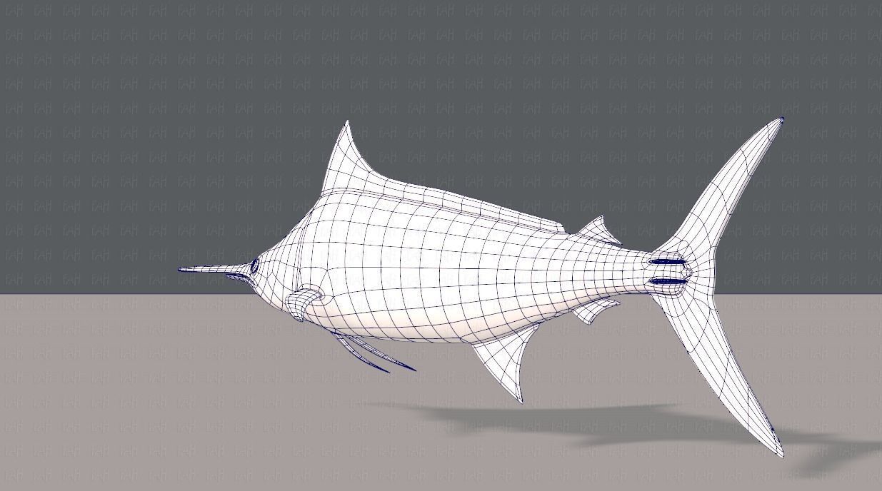 Fish V04 Low-poly 3D model_14