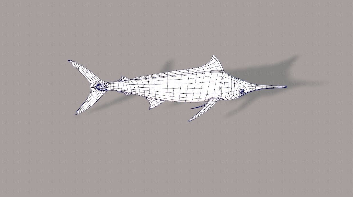 Fish V04 Low-poly 3D model_27